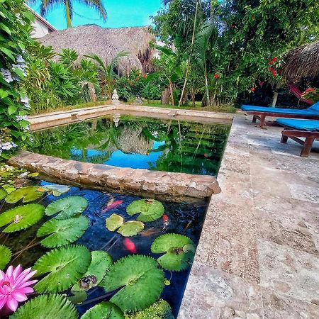 Bed and Breakfast Casa Picaflor Las Terrenas Esterno foto