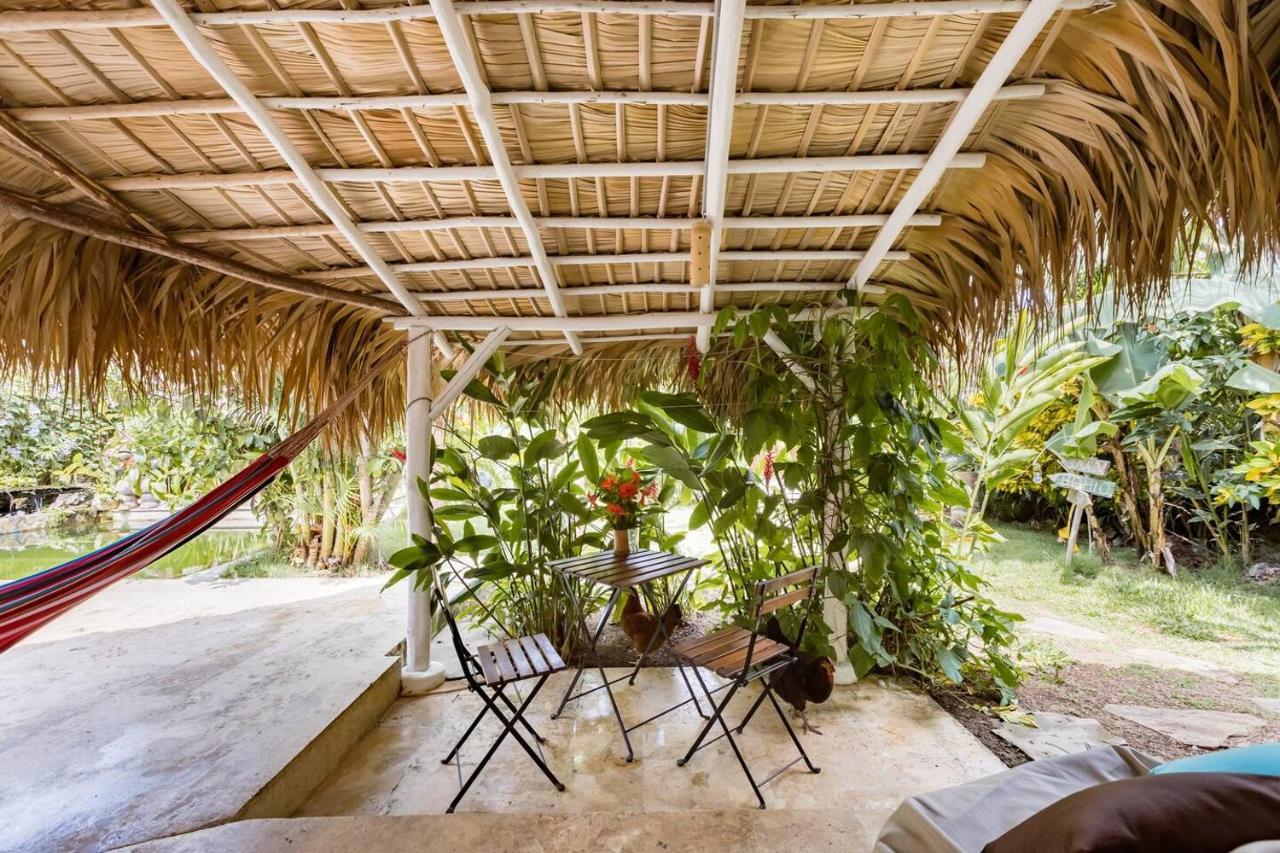 Bed and Breakfast Casa Picaflor Las Terrenas Esterno foto