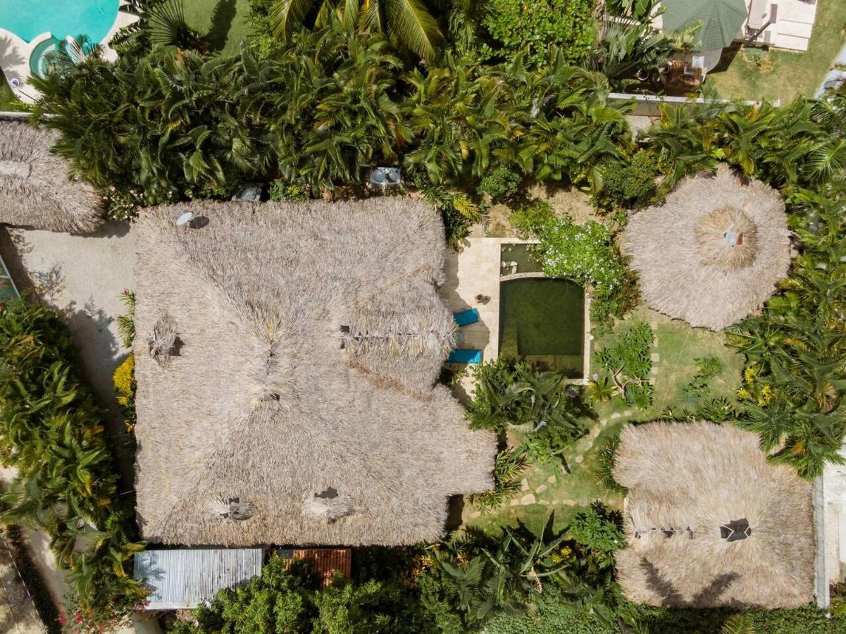 Bed and Breakfast Casa Picaflor Las Terrenas Esterno foto