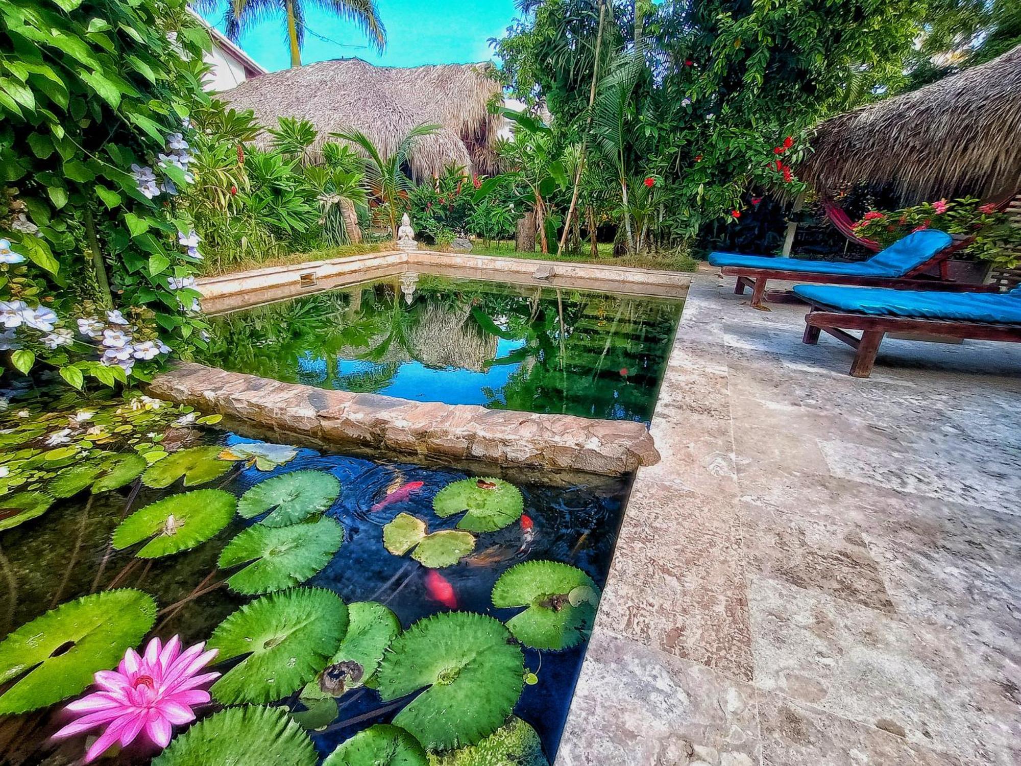 Bed and Breakfast Casa Picaflor Las Terrenas Esterno foto